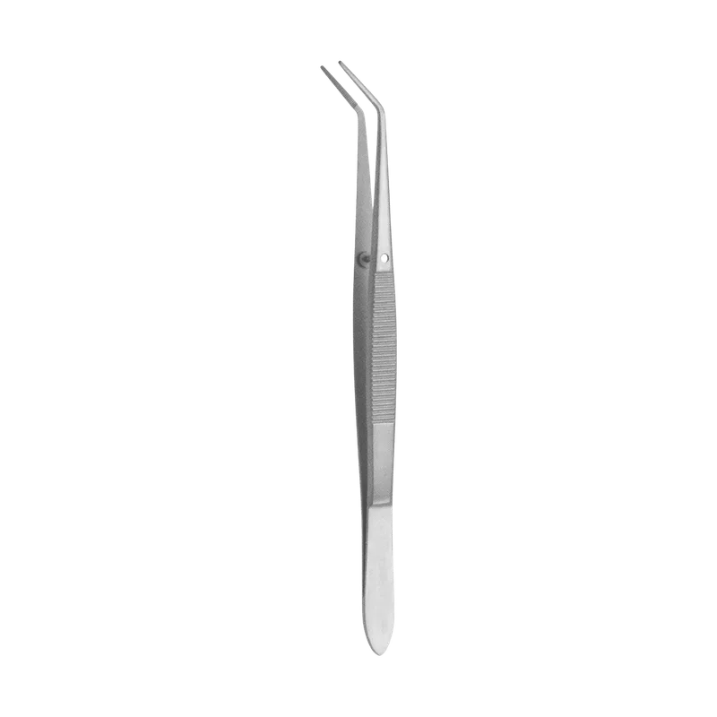Flagg Dental Cotton Pliers 16cm - Equate Instruments
