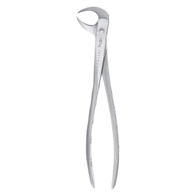 Fig.99 Lower Molar Extracting Forceps 15cm - Equate Instruments
