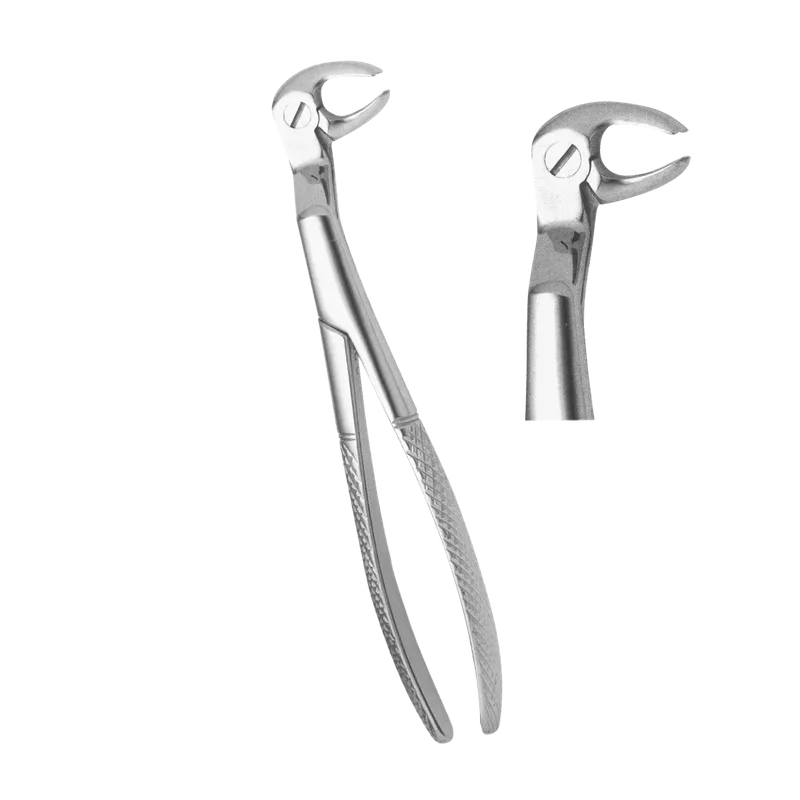 Fig.351 Lower Molar and Wisdom Extracting Forceps, Right 18cm - Equate Instruments