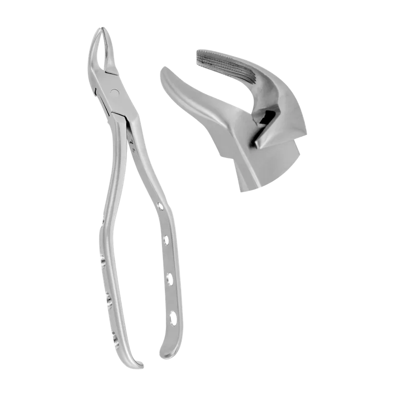Extracting Forceps Fig. 2 Meissner 4mm 18cm - Equate Instruments