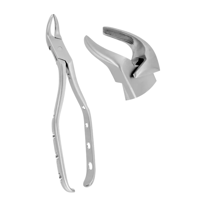 Extracting Forceps Fig. 3 Meissner 6.5mm 18cm - Equate Instruments