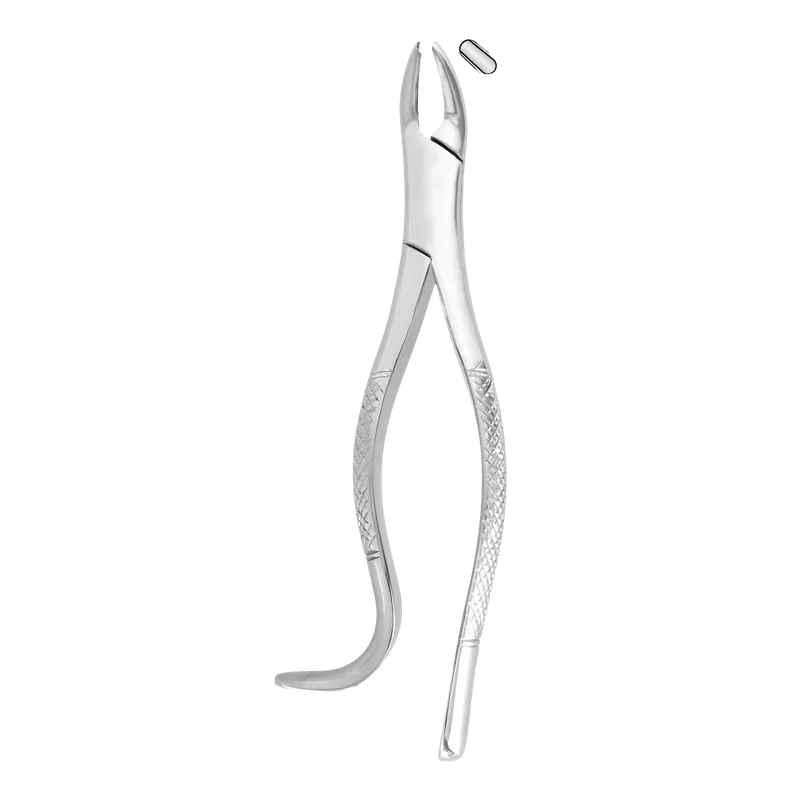 American-Pattern Fig.18R Upper Right Molar Extracting Forceps - Equate Instruments