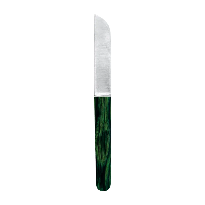 Flexible Plaster Spatula 16 cm Green Handle - Equate Instruments