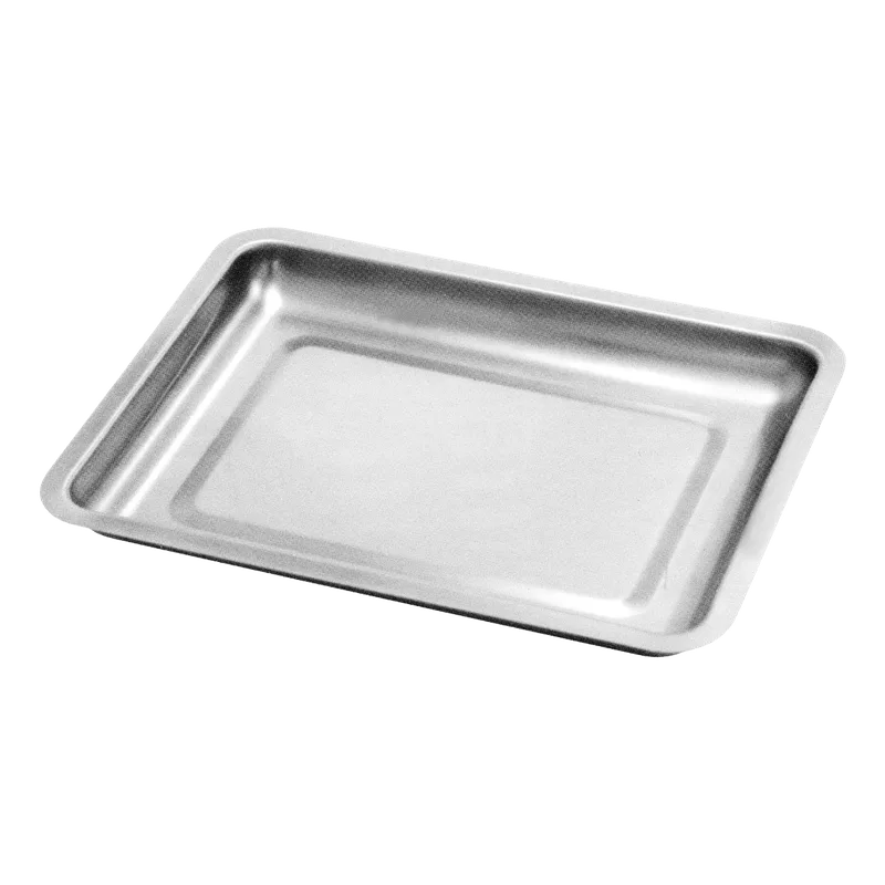 Stainless-Steel Instrument Tray - 10 x 15 x 2.5 cm - Equate Instruments