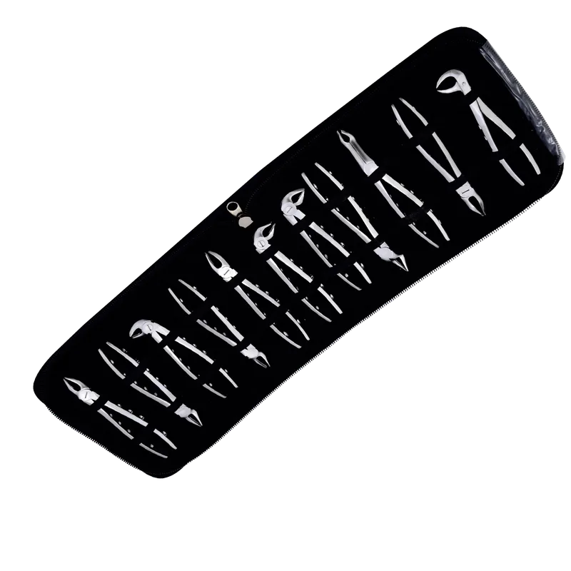 Anatomical Extraction Forceps Set of 11 in Leather Case - Equate Instruments