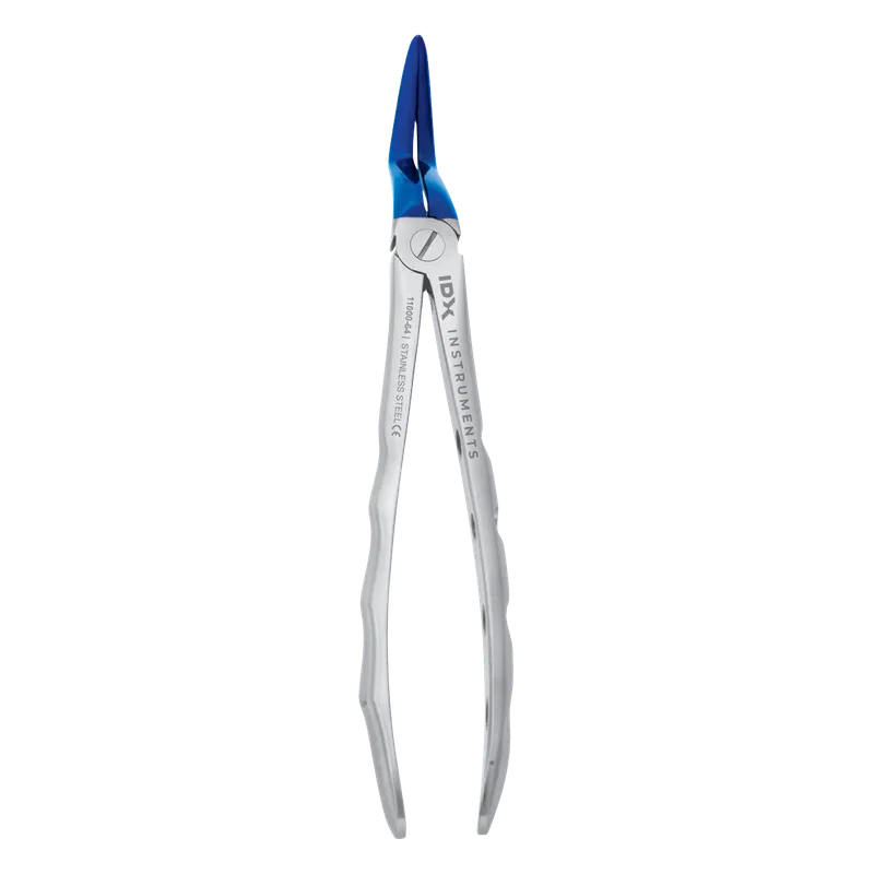 Upper Root Extraction Forceps (Adults) - Blue - Equate Instruments